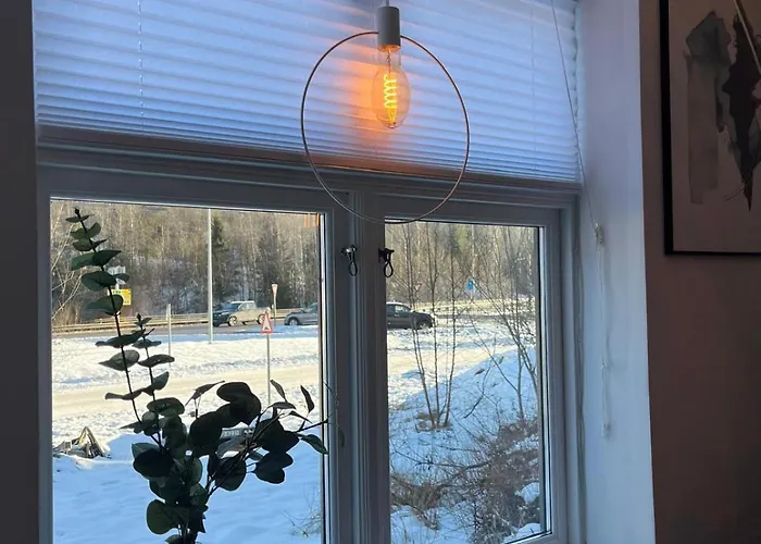 Prime Location - Cozy And Big House *